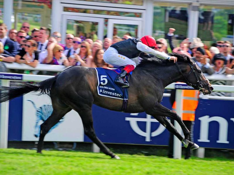 Golden Horn Epsom 3