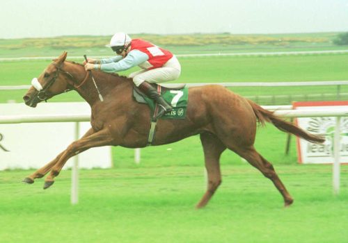 Kooyonga Curragh 91