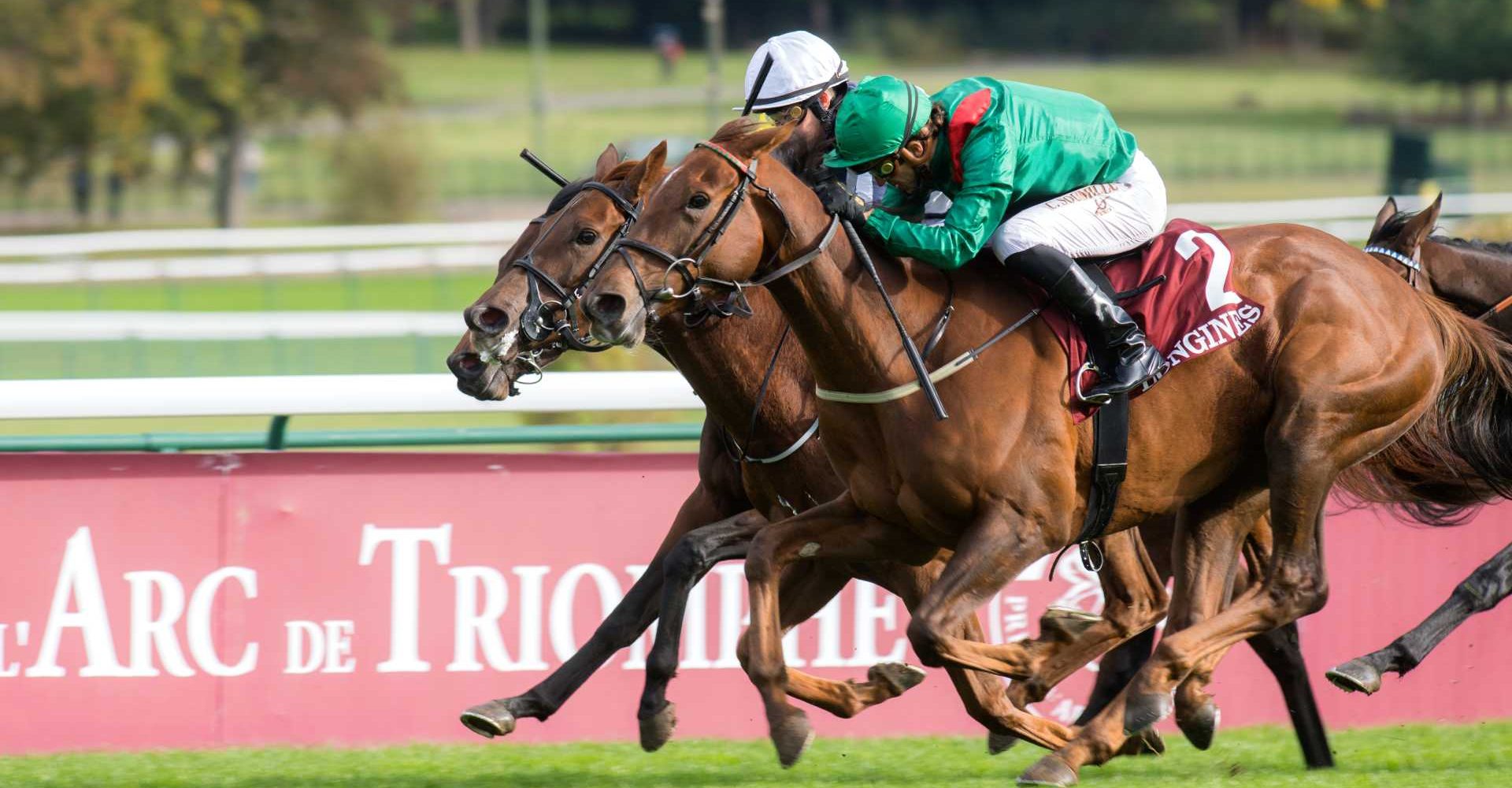 Tarnawa (near) winning Opera from Alpine Star (white cap) & Audarya (hidden,rails).
Longchamp 4-10-20.
Photo © George Selwyn +44 (0)7967 030722
116 Wellington Parade Kent UK CT14 8AF.